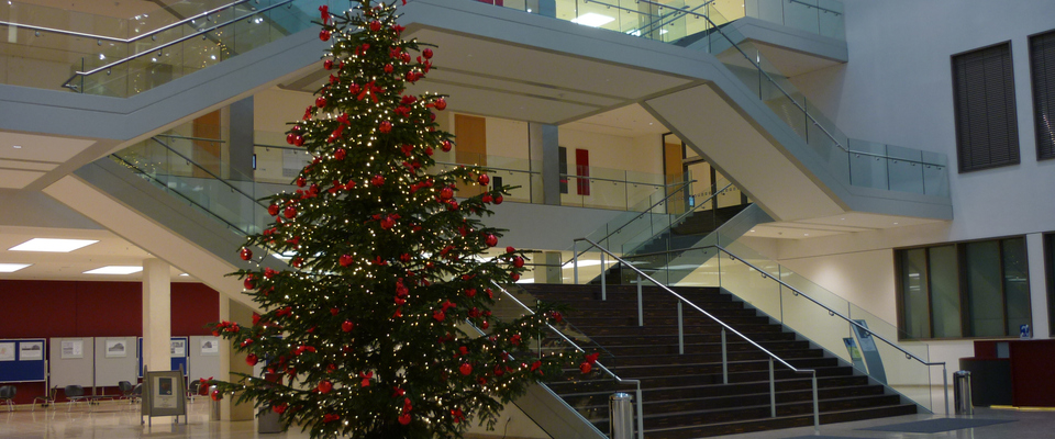 Weihnachtsbaum